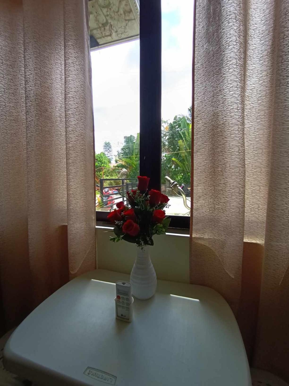 Cheri Backpackers Hostel 몰볼 외부 사진