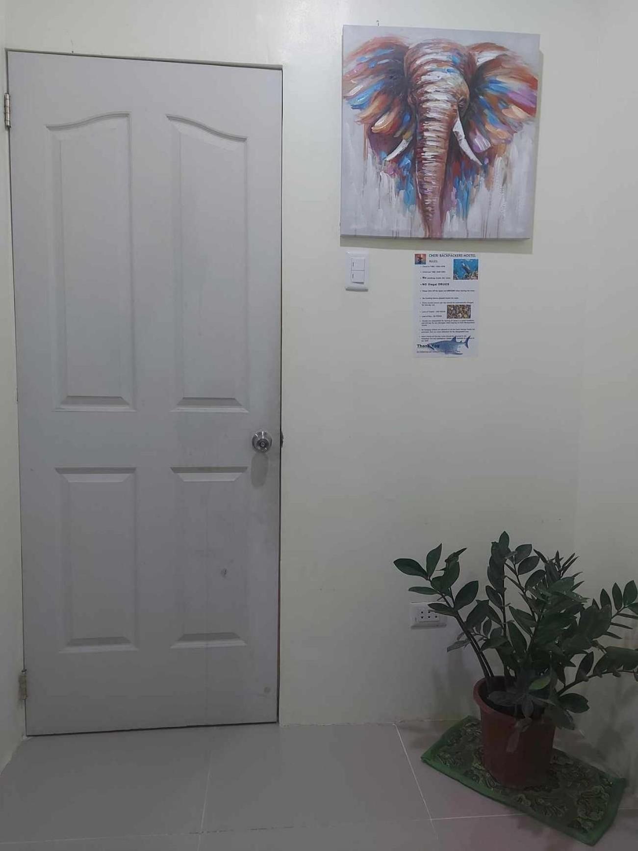 Cheri Backpackers Hostel 몰볼 외부 사진